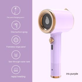 Fabric Steam Engine Handheld Garment Steamer Spray Convenient Wet And Dry Handheld Iron (Option: Light Purple-Us)